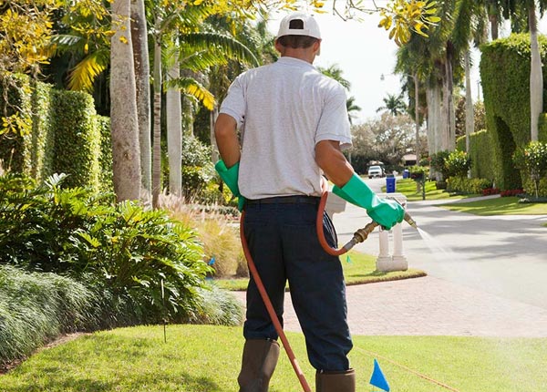 About Lynd MN Pest Control